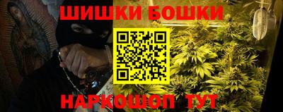 крисы Будённовск