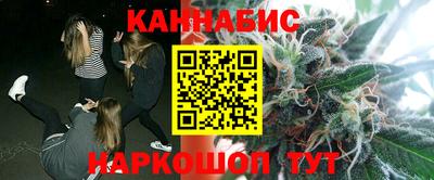 крисы Будённовск